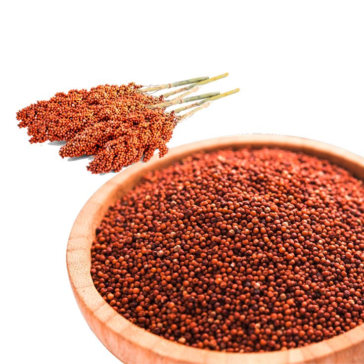 ragi chips