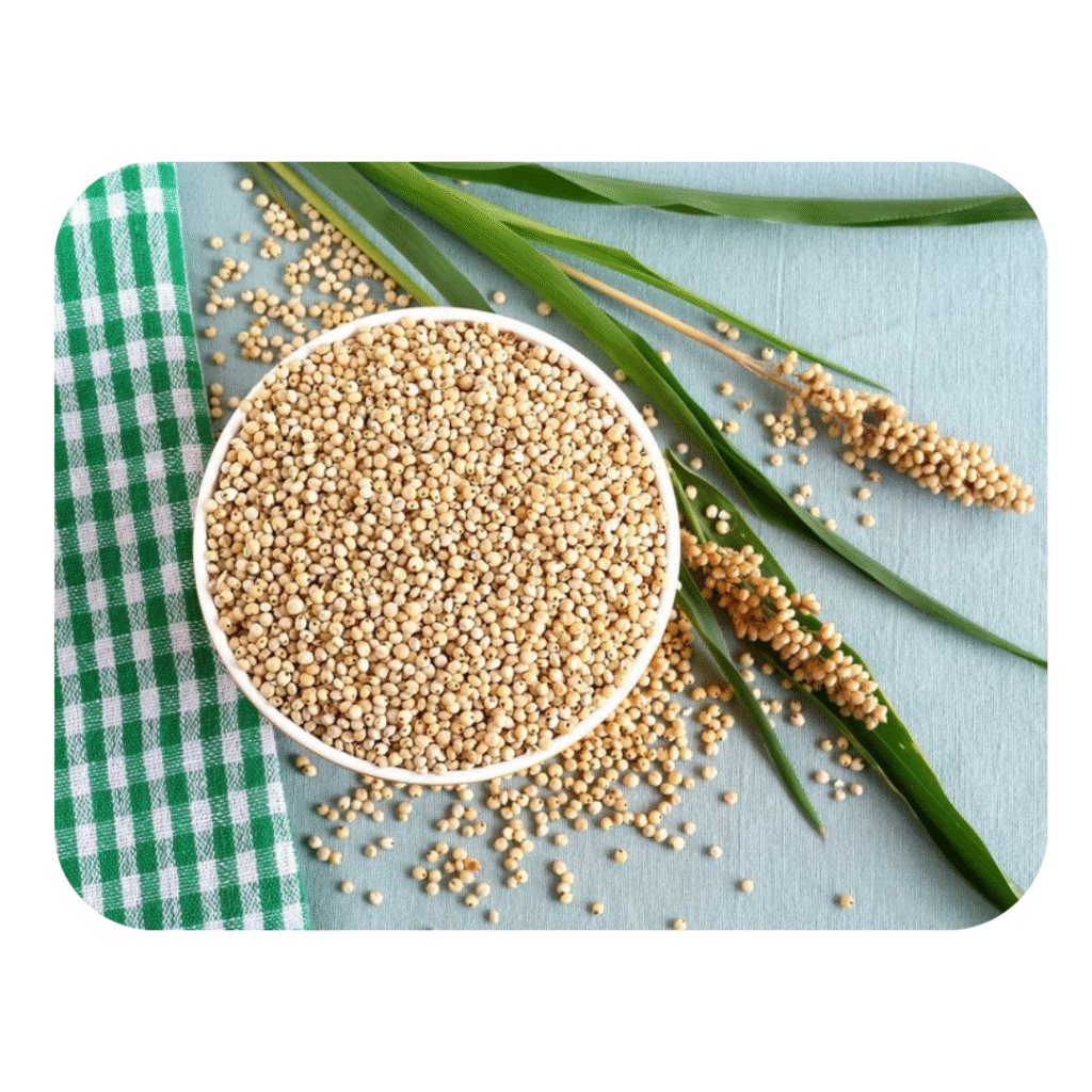 jowar